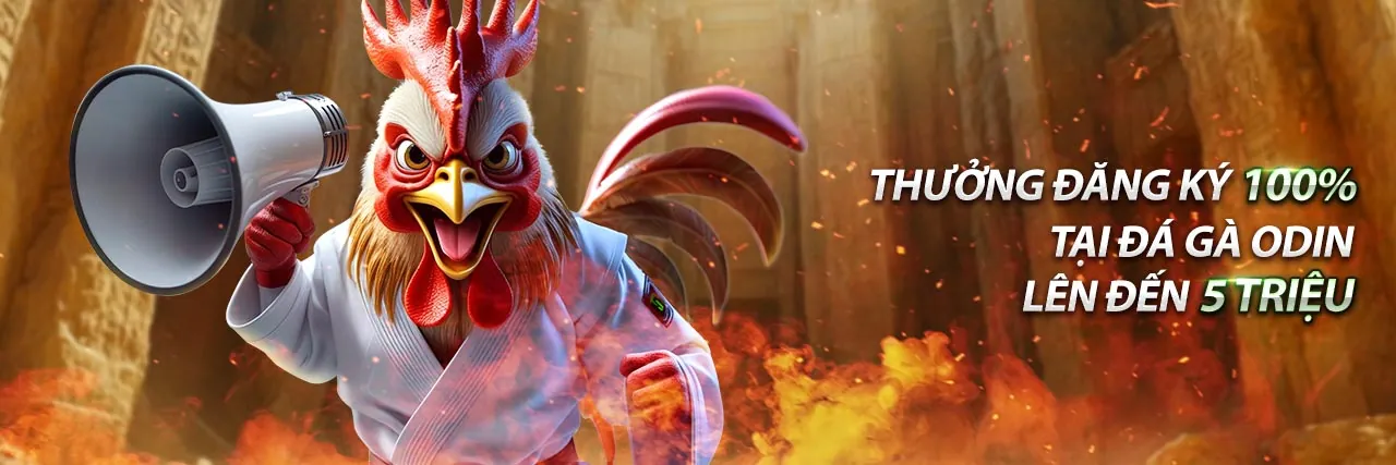 Tổng quan về các chương trình khuyến mãi ee88ap đăng nhập 2026