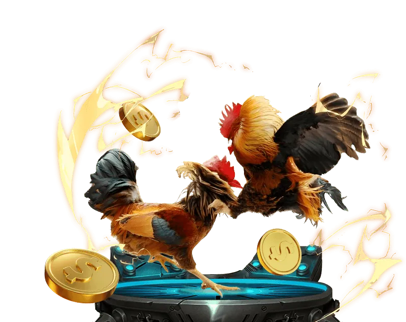 Phiếu đặt cược trên giao diện cá cược trực tuyến với tỷ lệ kèo thay đổi